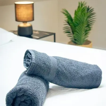 아파트 Le Douillet : Duplex Elegant En Centre *
