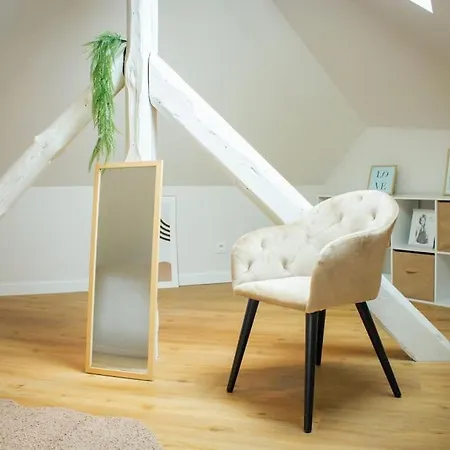 Le Douillet : Duplex Elegant En Centre 알베르빌