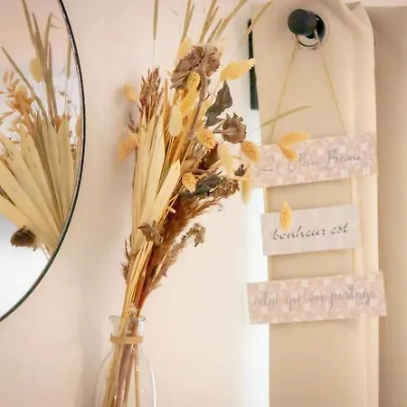 Le Douillet : Duplex Elegant En Centre 아파트 알베르빌